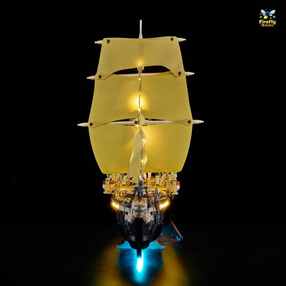 Light Kit for LEGO® The Endurance 10335